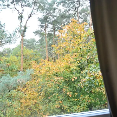 Im Mit Eigene Kueche Bad Balkon Parkplatz Netflix Apartment